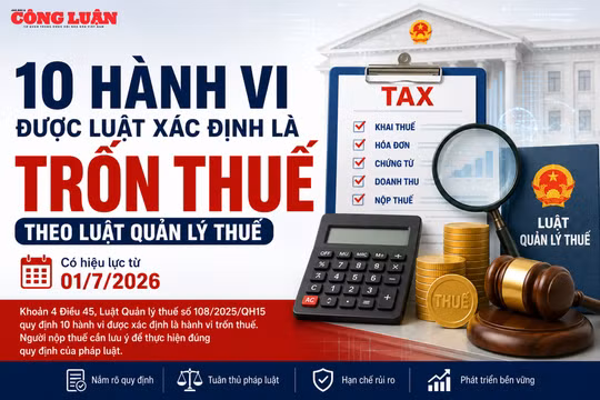 10 hành vi bị Luật Quản lý thuế xác định là trốn thuế theo quy định mới
