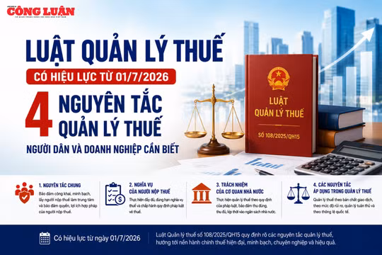 4 nguyên tắc quản lý thuế theo quy định mới người dân và doanh nghiệp cần biết
