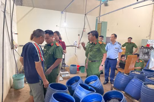Hải Phòng: Phát hiện cơ sở sản xuất giá đỗ sử dụng chất cấm 6-BAP