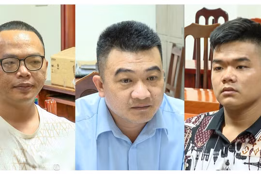 Hàng loạt trường đại học, sở giáo dục và đào tạo các tỉnh bị làm giả con dấu
