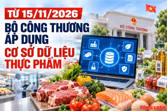 Từ ngày 15/11/2026, áp dụng cơ sở dữ liệu thực phẩm thuộc quản lý của Bộ Công Thương