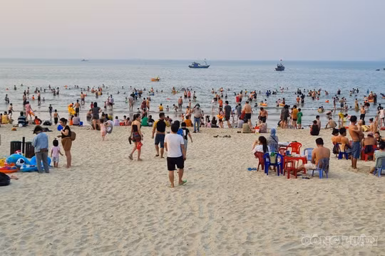 Đà Nẵng: Vận động người dân không trực tiếp cho tiền đối với người lang thang, xin ăn