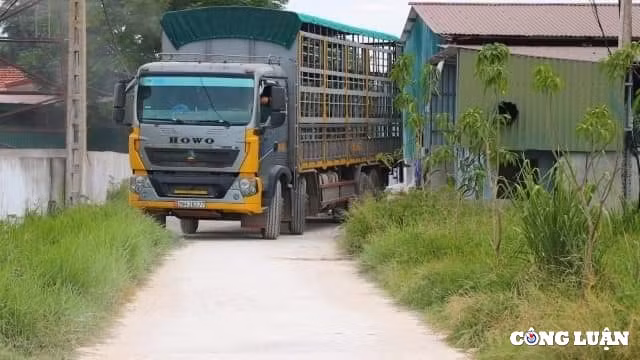 trai lon chui buc tu moi truong o ha tinh cong ty tnhh khanh giang bi phat gan 15 ty dong hinh 4