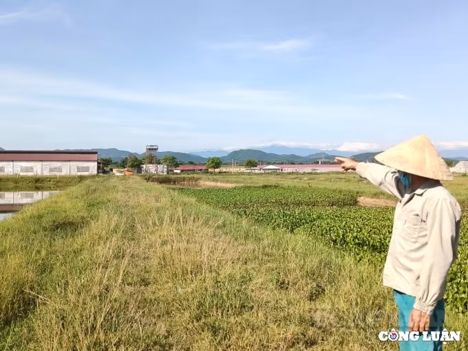 trai lon chui buc tu moi truong o ha tinh cong ty tnhh khanh giang bi phat gan 15 ty dong hinh 1