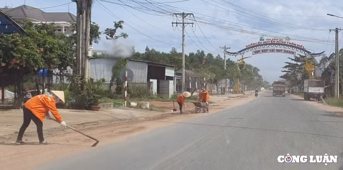 xe ben cho dat cat un un tu trong rung cao su o binh thuan hinh 7