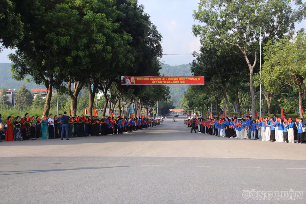 clo_br_anh-ls2.jpg