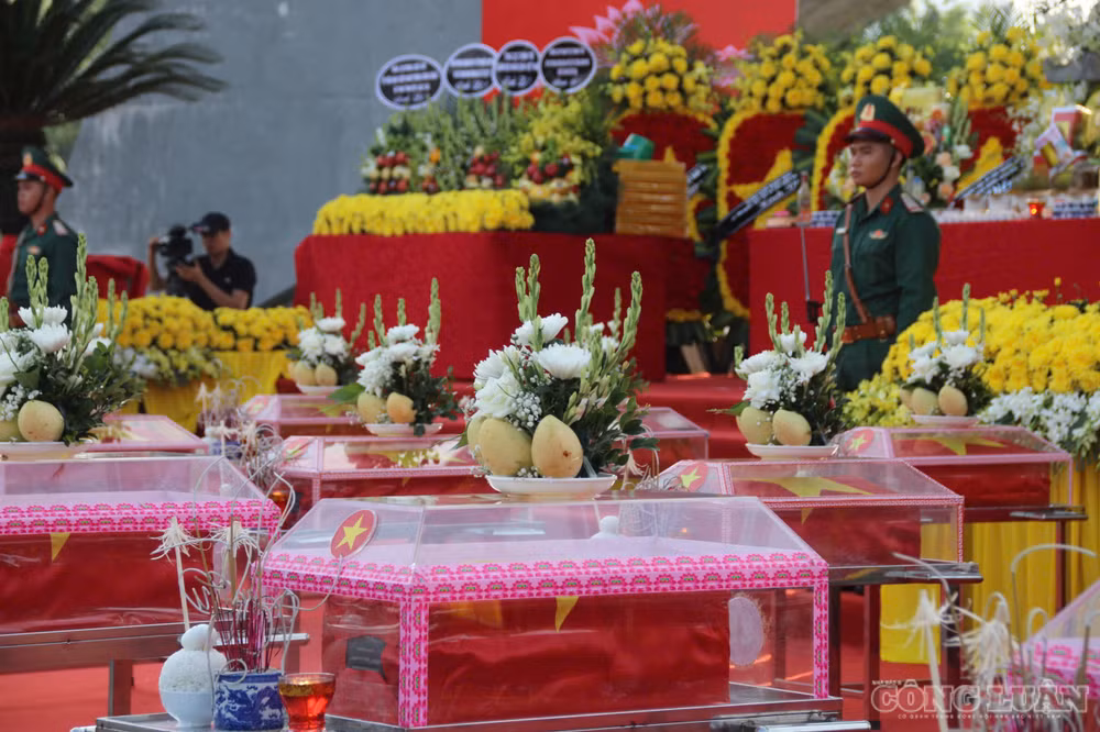 clo_br_anh-ls7.jpg
