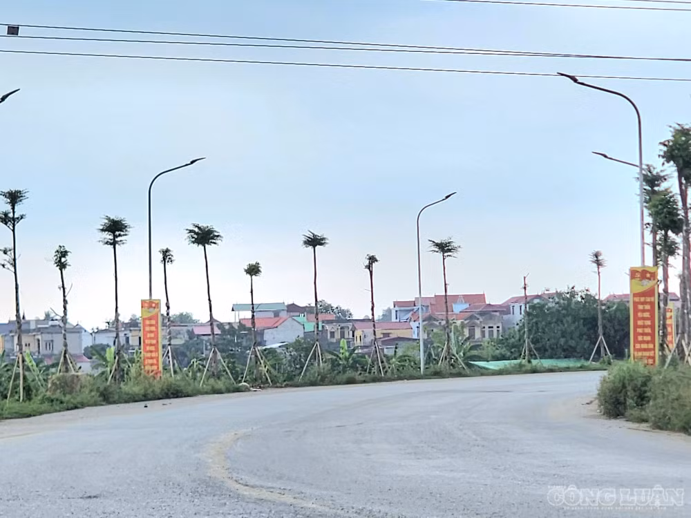 clo_br_20260701-153545.jpg