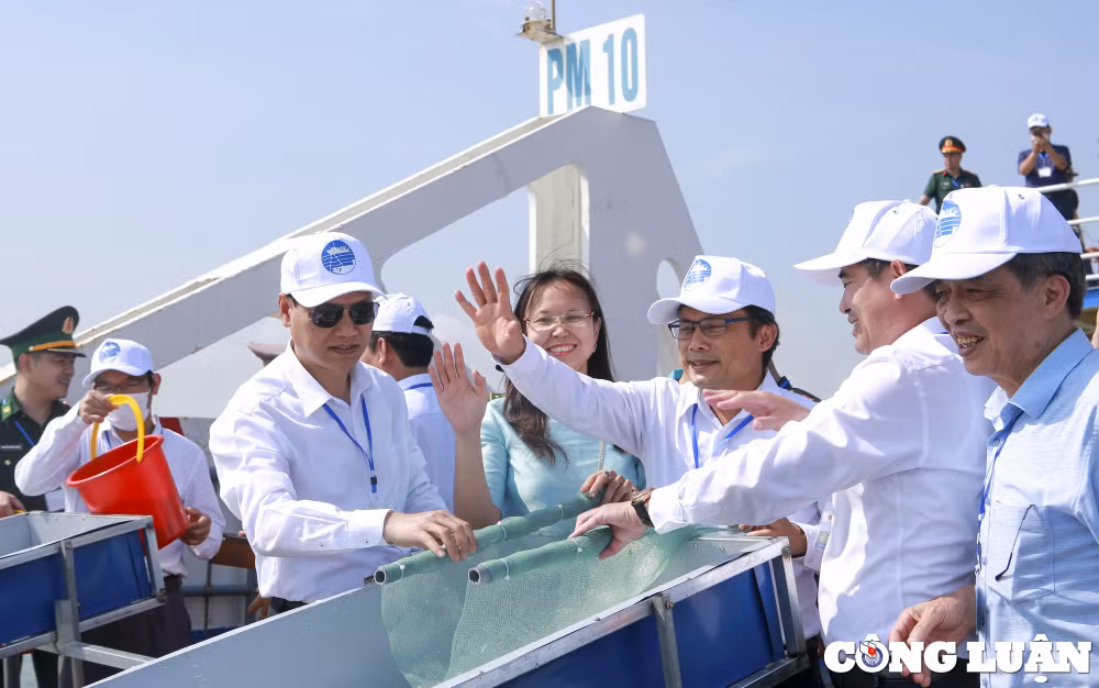 hon 8 trieu con giong thuy san duoc tha tai khu vuc ven bien vinh bac bo hinh 11