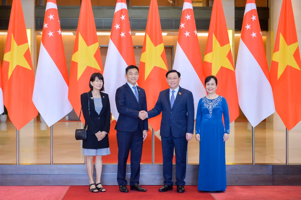 chu tich quoc hoi vuong dinh hue don hoi dam voi chu tich quoc hoi singapore hinh 2