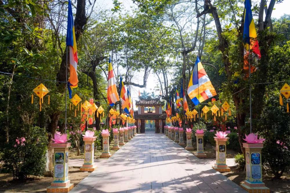 lung linh mua phat dan tai co do hue hinh 8