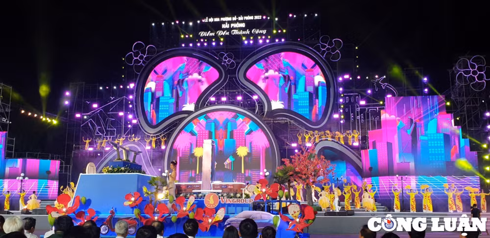 tung bung le hoi hoa phuong do hai phong diem den thanh cong hinh 2