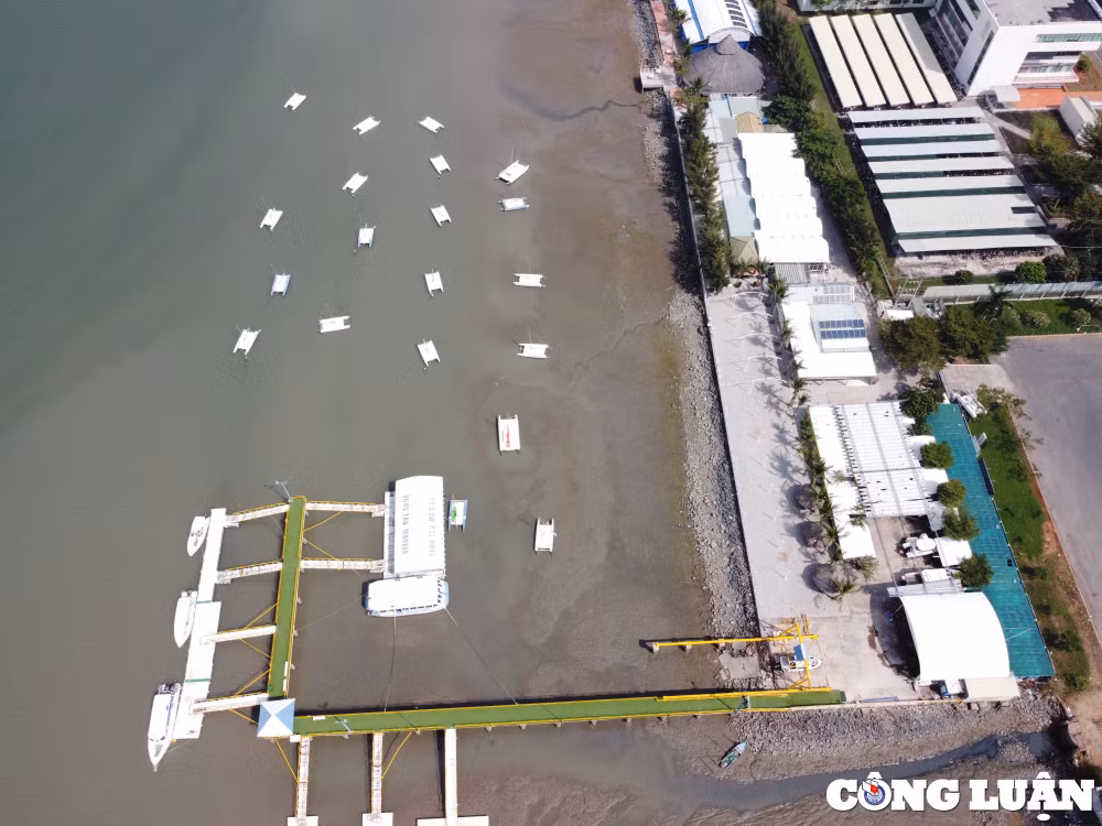ba ria vung tau kiem diem viec cap phep ben du thuyen vungtau marina hinh 1