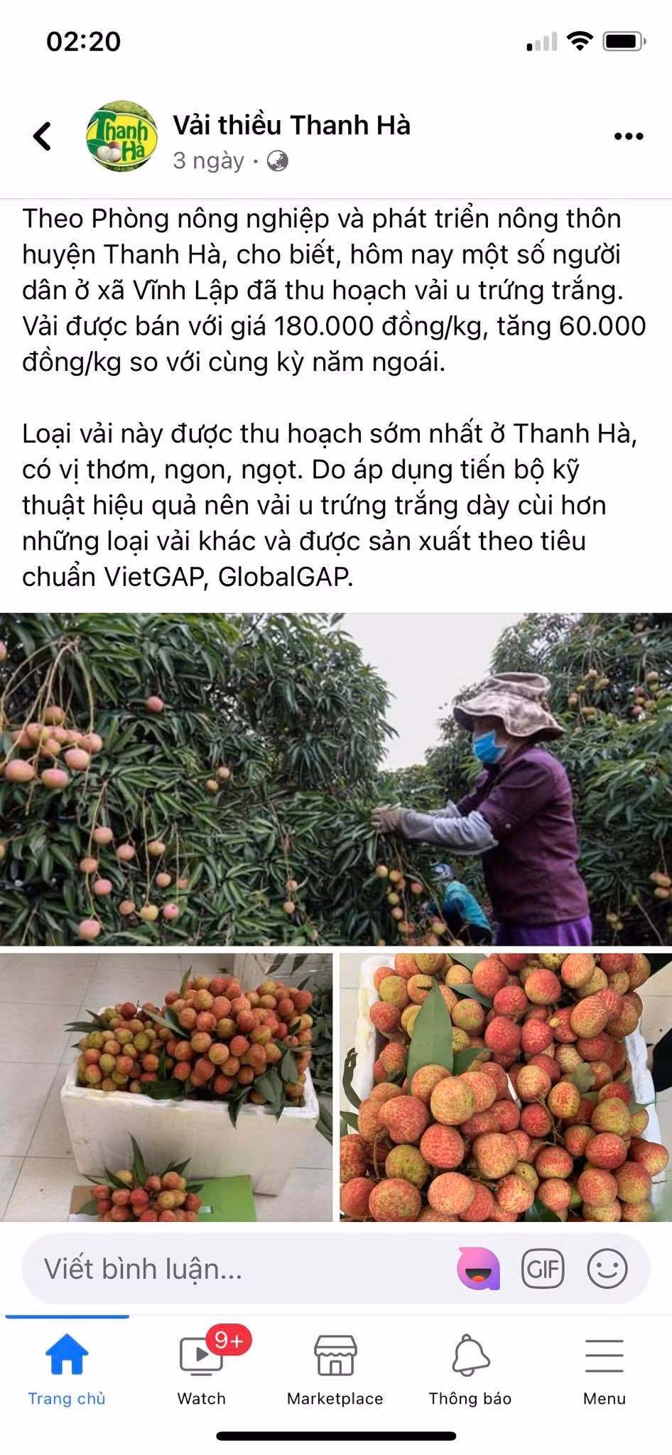 soi dong thi truong vai thieu dau mua hinh 2
