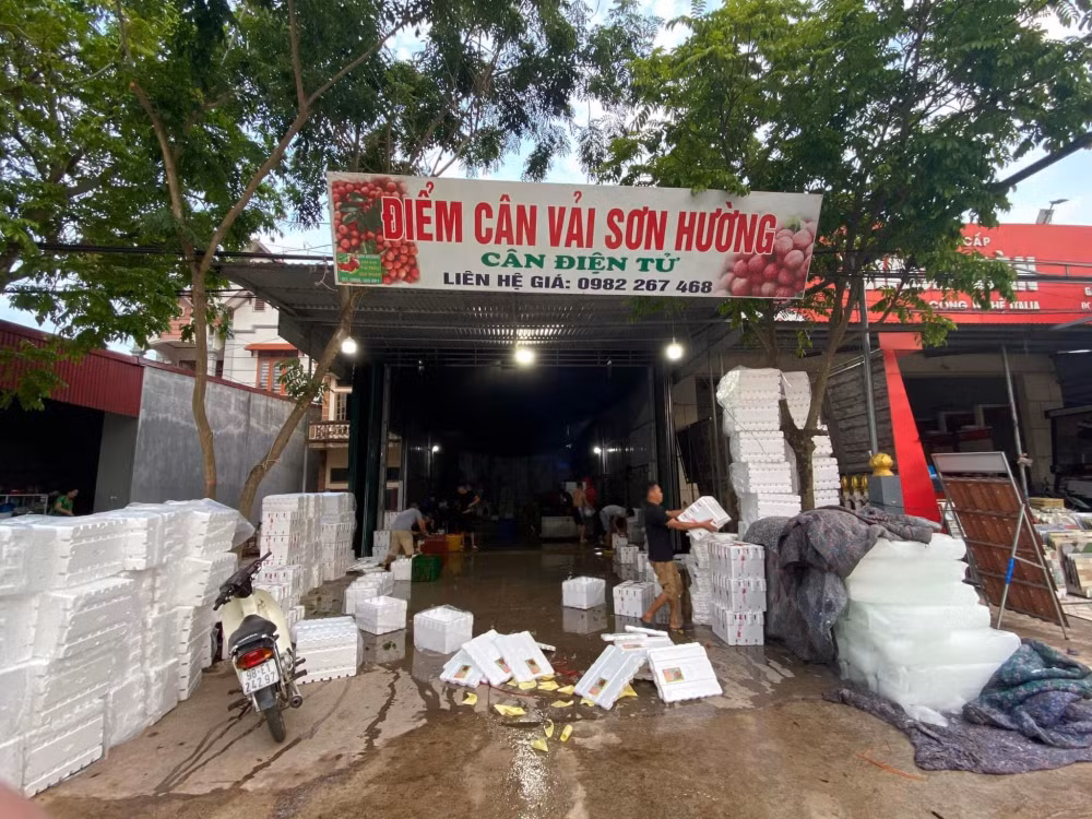 soi dong thi truong vai thieu dau mua hinh 4