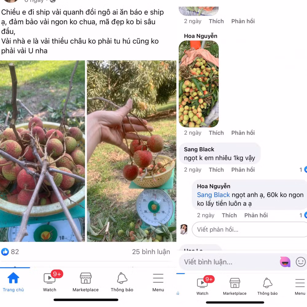 soi dong thi truong vai thieu dau mua hinh 3