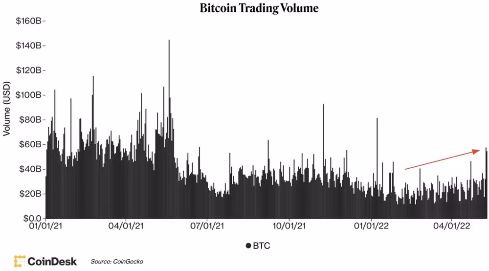 gia bitcoin hom nay 12 5 thi truong tiep tuc giam sau hinh 1