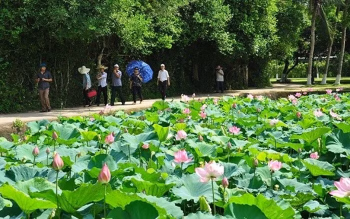 nguoi me lang sen chuong trinh nghe thuat ky niem 132 nam sinh nhat bac hinh 4