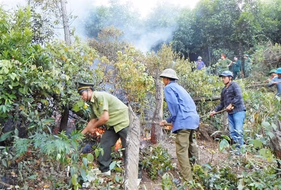 Lửa cháy dữ dội ở khu rừng rộng hơn 30 ha. Ảnh: H.P.