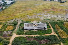 Điểm mặt hàng loạt sai phạm về quản lý đất đai, thực hiện các dự án đầu tư tại Phú Yên