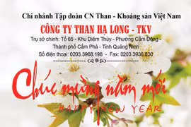 Công ty Than Hạ Long: Gần 30 năm xây dựng và phát triển