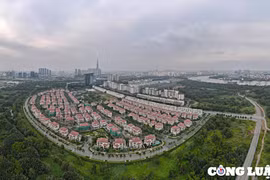 Ban Quản lý khu vực phát triển đô thị Thủ Thiêm có những chức năng gì?