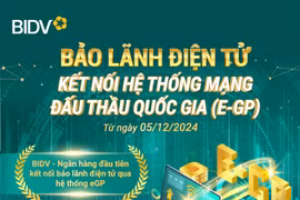 Ngân hàng tiên phong kết nối Mạng đấu thầu quốc gia để triển khai bảo lãnh dự thầu điện tử