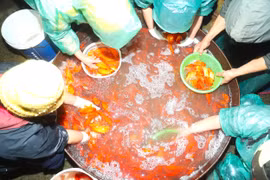 Chợ cá Yên Sở ngập sắc đỏ trước ngày tiễn ông Công ông Táo "về trời"