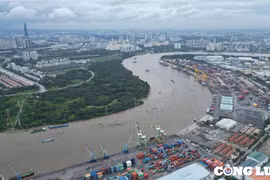 TP HCM chỉ đạo giải quyết dứt điểm khó khăn vướng mắc dự án đầu tư công trước ngày 20/6