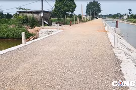 Mỹ Đức (Hà Nội): Công ty TNHH Đại Điền một ngày trúng nhiều gói thầu có tỉ lệ tiết kiệm "siêu thấp"