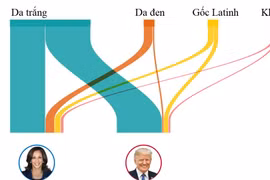 Những nhóm cử tri giúp ông Trump thắng cử Tổng thống Mỹ