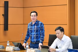 Đại biểu Quốc hội ủng hộ tăng diện tích quảng cáo trên báo in, tạp chí