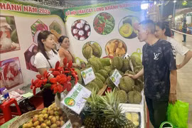 Hàng nghìn du khách tham dự Lễ hội trái cây Long Khánh 2024