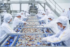 Áp dụng nhiều chính sách khuyến khích sản xuất, kinh doanh thuốc trong nước