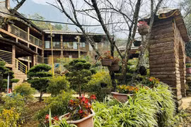 Lào Cai: Cần xử lý nghiêm sai phạm của homestay Bảo Khánh ngang nhiên xây dựng trên đất nông nghiệp