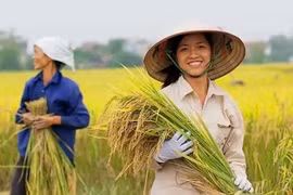 Phụ nữ Việt Nam: Đóng góp lớn đảm bảo an ninh lương thực và gìn giữ các giá trị văn hóa bản địa