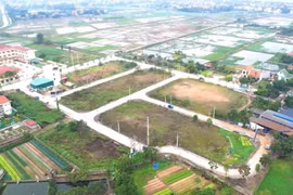 Các huyện ngoại thành Hà Nội công bố đấu giá 74 thửa đất, giá khởi điểm 'rẻ' nhất từ 7,3 triệu đồng