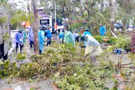 Công ty Môi trường Đô thị Hải Phòng: Huy động tổng lực thu gom xử lý rác thải sau bão số 3