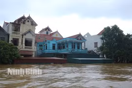 Ninh Bình: Nước các sông dâng cao gây ngập lụt hàng nghìn ngôi nhà