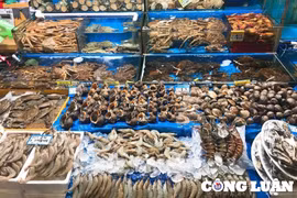 Thanh Hoá: Dịp lễ 30/4 - 1/5, giá hải sản tăng chóng mặt