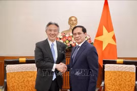 Thúc đẩy hợp tác văn hóa, giáo dục, khoa học công nghệ giữa Việt Nam - Nhật Bản