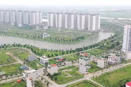 Loạt sai phạm trong quá trình cổ phần hóa tại các doanh nghiệp “họ Cienco”