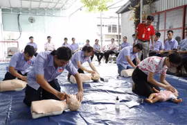 Hội Chữ thập đỏ Việt Nam tập huấn sơ cấp cứu trong các Tập đoàn, Tổng Công ty Nhà nước