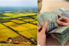 Quỹ phát triển đất là quỹ tài chính nhà nước ngoài ngân sách, hạch toán độc lập, có vốn điều lệ