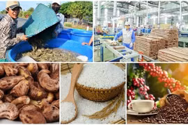 Xuất khẩu nông lâm thuỷ sản 8 tháng tăng mạnh, đạt hơn 40 tỷ USD