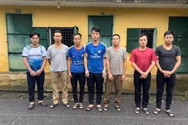 Phú Thọ: Khởi tố 7 đối tượng chặt phá rừng trái phép tại Vườn Quốc gia Xuân Sơn