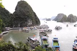 Hướng dẫn hơn 500 tàu hoạt động tại khu vực nguy hiểm trên Biển Đông di chuyển tránh trú bão số 3