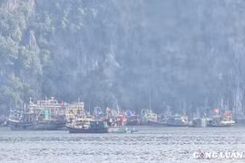 Quảng Ninh: Chủ động ứng phó với bão số 3 có thể mạnh lên thành siêu bão
