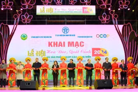 Hà Nội khai mạc lễ hội hoa đào, quất cảnh và sản phẩm OCOP Xuân Giáp Thìn