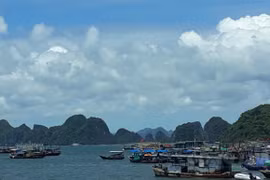 Nhiều tỉnh miền Trung cấm biển, ứng phó với bão số 6
